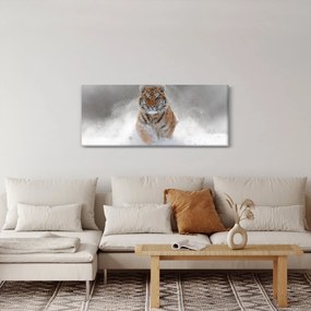Obraz bežiaceho tigra v snehu (120x50 cm)