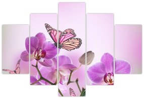 Obraz - Motýľ na kvetoch orchidey, lila (150x105 cm)