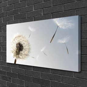 Obraz Canvas Púpava kvety príroda 120x60 cm