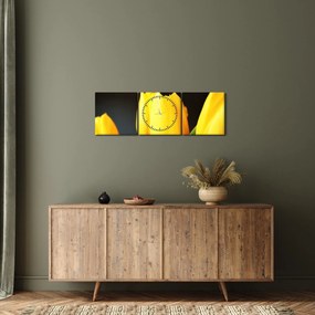 Obraz tulipánov (s hodinami) (90x30 cm)
