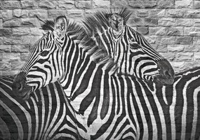 Fototapeta - Maľované zebry na tehlovú stenu (152,5x104 cm)