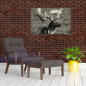 Obraz - Jeleň (90x60 cm)