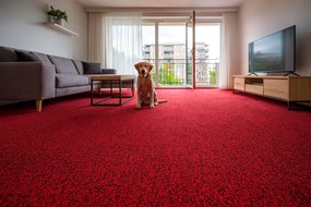 Ideal, Koberec metráž Efekt 5180, na mieru, šíře 5m, červená, filc, chodba / predsieň