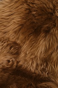 Ovčia kožušina cappuccino