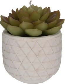 Darčeková sviečka Kaktus v kvetináči – typ 2, 14 cm