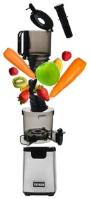 TESLA Electronics SlowJuicer Deluxe - Šnekový odšťavňovač 250W/230V nerez