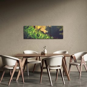 Obraz machu s hubou (s hodinami) (90x30 cm)