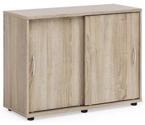 Nízka skriňa Praktik 100 x 40 x 75,3 cm, dub sonoma