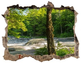 Nálepka fototapeta 3D výhled Rieka v lese nd-k-66915556