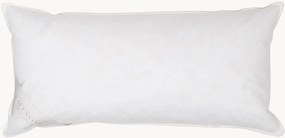 Páperový vankúš First Class, normálny, 40x80 cm