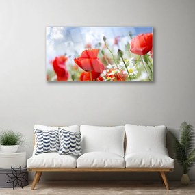 Skleneny obraz Maky sedmokrásky kvety 125x50 cm