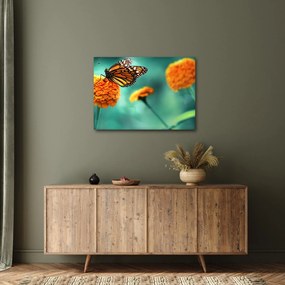 Obraz motýľa (70x50 cm)