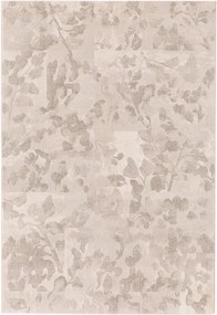 Koberec Ragolle Argentum 63056 6575