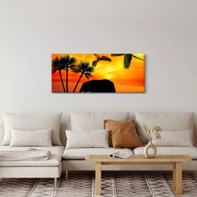 Obraz - papagáje a slony (120x50 cm)