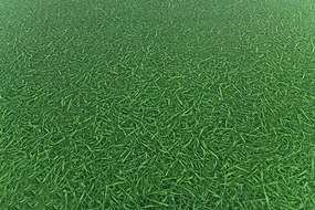 PVC podlaha Artifact Grass 025 imitácia trávy