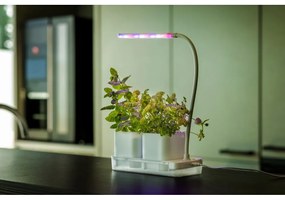 Kovová pestiareň Lamp – Esschert Design