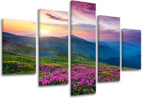 Obraz na stenu 5 dielny SLOVENSKO SK031E50