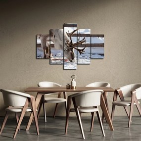 Obraz - Sob (150x105 cm)