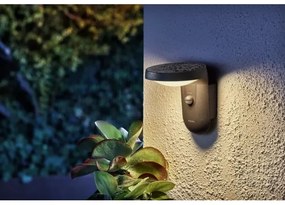 Philips - LED Vonkajšie nástenné svietidlo so senzorom TYLA LED/9W/230V 2700K IP44