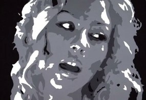 Ručne maľovaný POP Christina Aguilera | rôzne rozmery