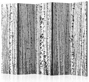 Artgeist Paraván - Birch forest [Room Dividers]