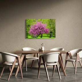 Obraz rozkvitnutého stromu na lúke (90x60 cm)