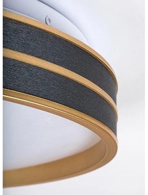 Rabalux 71141 - LED stmievateľné stropné svietidlo GANDOR LED/24W/230V 3000-6500K