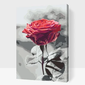 Gario Maľovanie podľa čísel Rozkvitnutá ruža Rozmery: 60 x 80 cm, Rámovanie: S vnútorným rámom