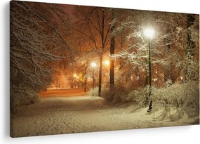 Obraz - Zasnežený park (90x60 cm)