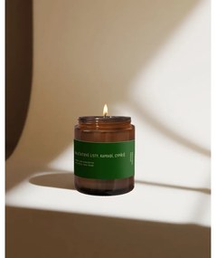 Vonná sójová sviečka #80 Tomato Leaf, Cypress, Fern – Perfumed Prague