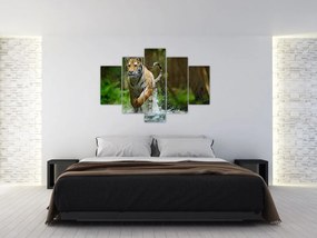 Obraz bežiaceho tigra (150x105 cm)