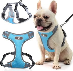 Beztlakový postroj pre psa ASTRO - modrý - rozmer M