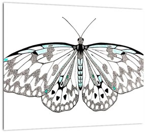 Čiernobiely motýľ