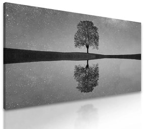 Obraz odraz hviezd na hladine jazera v čiernobielom prevedení