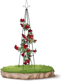 Kovová opora pre popínavé rastliny 195 cm, sada 2 ks