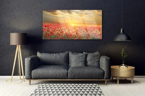 Obraz plexi Slnko lúka mak kvety 120x60 cm