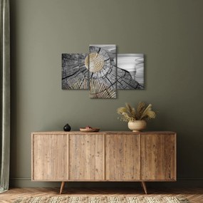 Obraz - Kmeň stromu v koláži (90x60 cm)