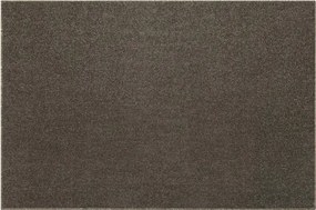 Koberec DRAGON TERMO 31431 hnedý