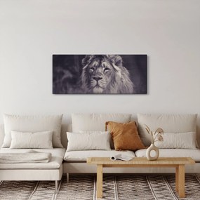 Obraz leva (120x50 cm)