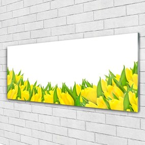 Obraz plexi Kvety príroda tulipány 125x50 cm