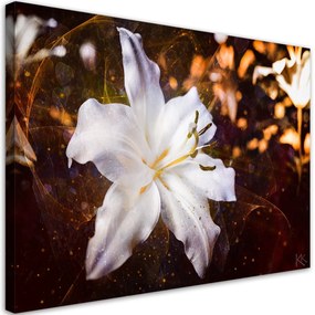 Obraz na plátně, Bílá Lily na hnědém pozadí - 100x70 cm