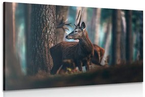Obraz jeleň v borovicovom lese Varianta: 90x60