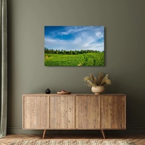 Obraz lúky (90x60 cm)