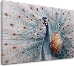 Obraz na plátne PÁV 1 dielny XOBCH1595HE1