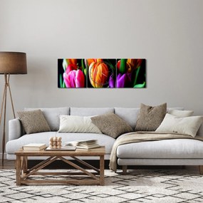 Obraz tulipánov na čiernom pozadí (s hodinami) (90x30 cm)