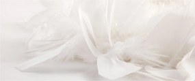 Obraz - Perie (120x50 cm)