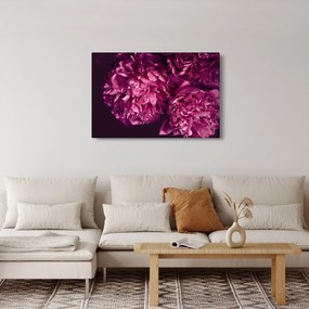 Obraz - Kytica pivoniek (90x60 cm)