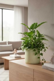 Dizajnový kvetináč VEKRA, sklolaminát, 40x40 cm, krémový