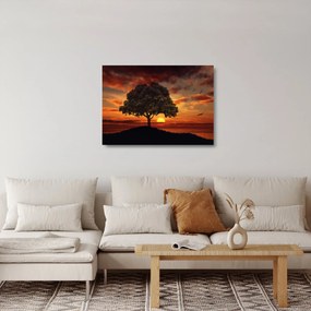 Sklenený obraz stromu pri západe slnka (70x50 cm)