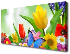 Obraz Canvas Motýľ kvety príroda 125x50 cm